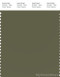 PANTONE SMART 18-0523X Color Swatch Card, Winter Moss