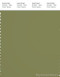 PANTONE SMART 18-0525X Color Swatch Card, Iguana