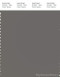 PANTONE SMART 18-0601X Color Swatch Card, Charcoal Gray