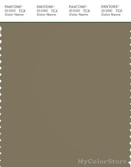 PANTONE SMART 18-0617X Color Swatch Card, Covert Green