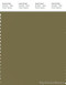 PANTONE SMART 18-0622X Color Swatch Card, Olive Drab