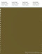 PANTONE SMART 18-0627X Color Swatch Card, Fir Green