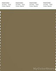 PANTONE SMART 18-0724X Color Swatch Card, Gothic Olive