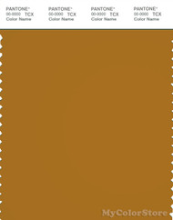 PANTONE SMART 18-0935X Color Swatch Card, Buckthorn Brown