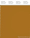 PANTONE SMART 18-0935X Color Swatch Card, Buckthorn Brown