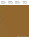 PANTONE SMART 18-0940X Color Swatch Card, Golden Brown