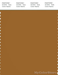 PANTONE SMART 18-0950X Color Swatch Card, Cathay Spice