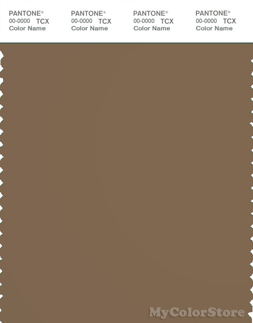 PANTONE SMART 18-1018X Color Swatch Card, Otter