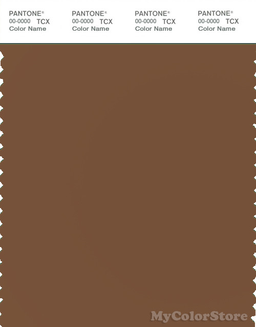 PANTONE SMART 18-1031X Color Swatch Card, Toffee