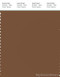 PANTONE SMART 18-1031X Color Swatch Card, Toffee