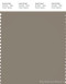 PANTONE SMART 18-1108X Color Swatch Card, Fallen Rock