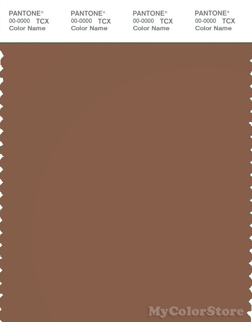 PANTONE SMART 18-1137X Color Swatch Card, Rawhide