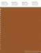 PANTONE SMART 18-1142X Color Swatch Card, Leather Brown