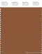 PANTONE SMART 18-1148X Color Swatch Card, Caramel Cafe