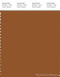 PANTONE SMART 18-1154X Color Swatch Card, Glazed Ginger