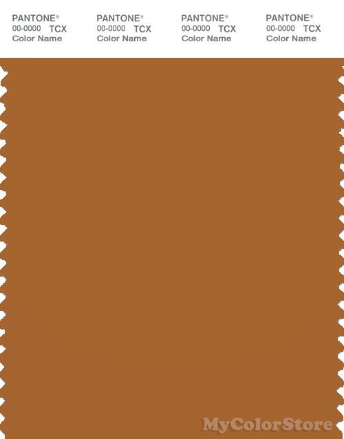 PANTONE SMART 18-1163X Color Swatch Card, Pumpkin Spice