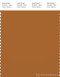 PANTONE SMART 18-1163X Color Swatch Card, Pumpkin Spice