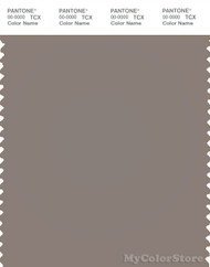 PANTONE SMART 18-1210X Color Swatch Card, Driftwood