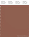 PANTONE SMART 18-1235X Color Swatch Card, Russet