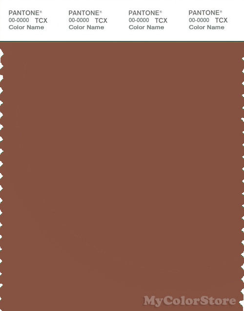 PANTONE SMART 18-1238X Color Swatch Card, Rustic Brown