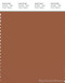 PANTONE SMART 18-1239X Color Swatch Card, Sierra