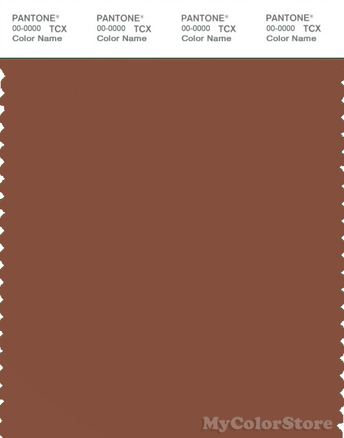 PANTONE SMART 18-1242X Color Swatch Card, Brown Patina