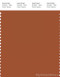 PANTONE SMART 18-1246X Color Swatch Card, Umber