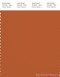 PANTONE SMART 18-1248X Color Swatch Card, Rust