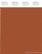 PANTONE SMART 18-1250X Color Swatch Card, Bombay Brown