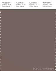 PANTONE SMART 18-1306X Color Swatch Card, Iron