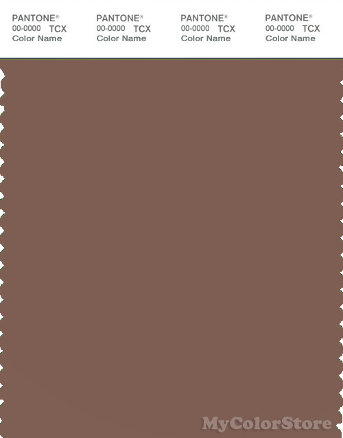 PANTONE SMART 18-1314X Color Swatch Card, Acorn