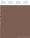 PANTONE SMART 18-1314X Color Swatch Card, Acorn