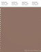 PANTONE SMART 18-1321X Color Swatch Card, Brownie