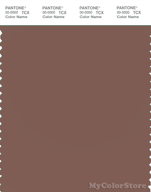 PANTONE SMART 18-1326X Color Swatch Card, Nutmeg