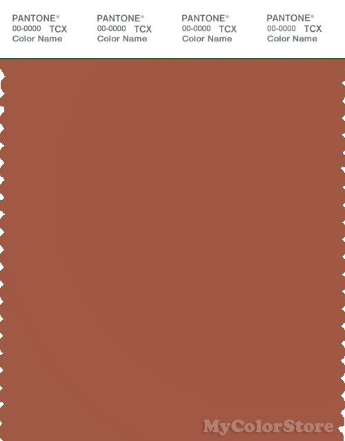 auburn color swatch