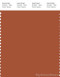 PANTONE SMART 18-1345X Color Swatch Card, Cinnamon Stick