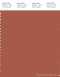 PANTONE SMART 18-1346X Color Swatch Card, Orange Brown