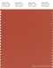 PANTONE SMART 18-1355X Color Swatch Card, Rooibos Tea