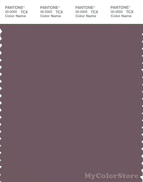 PANTONE SMART 18-1405X Color Swatch Card, Flint
