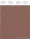 PANTONE SMART 18-1421X Color Swatch Card, Cognac