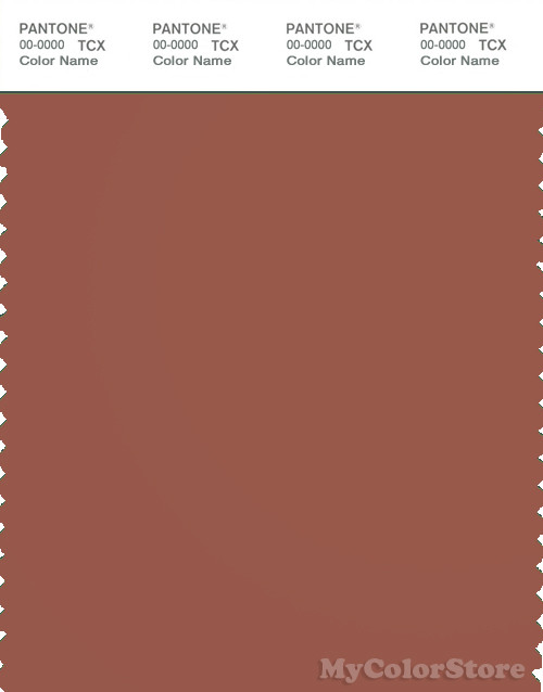 PANTONE SMART 18-1433X Color Swatch Card, Chutney
