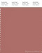 PANTONE SMART 18-1436X Color Swatch Card, Light Mahogany