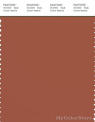 PANTONE SMART 18-1441X Color Swatch Card, Baked Clay