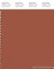 PANTONE SMART 18-1441X Color Swatch Card, Baked Clay