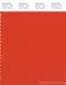PANTONE SMART 18-1445X Color Swatch Card, Spicey Orange