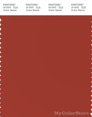 PANTONE SMART 18-1449X Color Swatch Card, Catchup