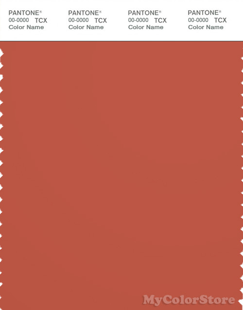 PANTONE SMART 18-1450X Color Swatch Card, Mecca Orange