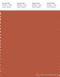 PANTONE SMART 18-1451X Color Swatch Card, Autumn Glaze