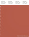 PANTONE SMART 18-1535X Color Swatch Card, Ginger Spice