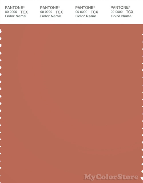 PANTONE SMART 18-1537X Color Swatch Card, Copper Coin